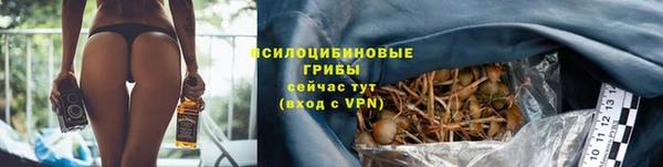 дживик Волоколамск